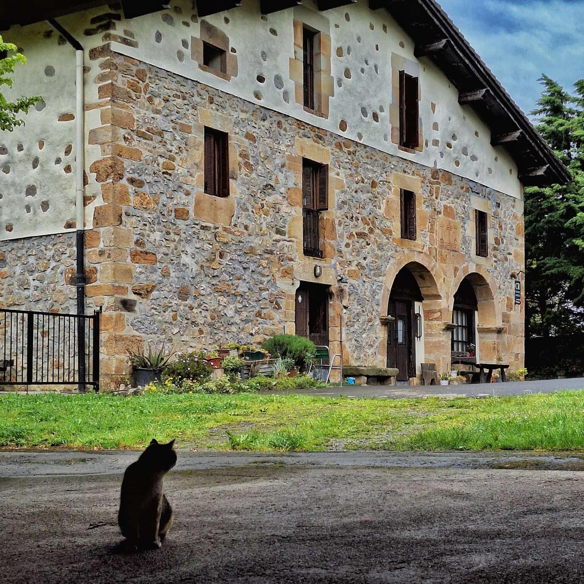 Casa Rural Areano Escoriaza Extérieur photo